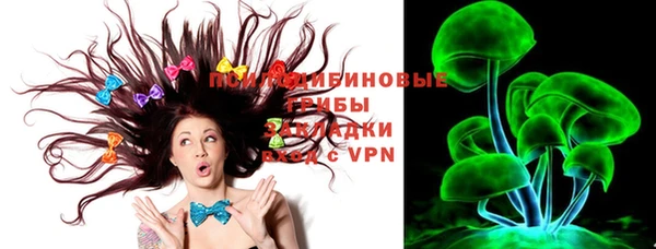 стаф Богданович