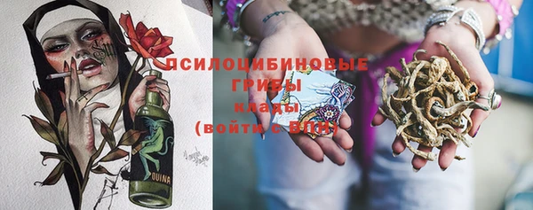 трава Беломорск