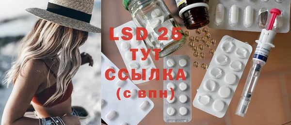 стаф Богданович