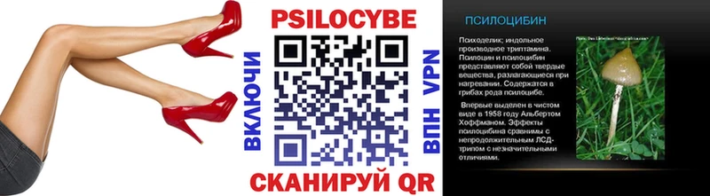 Галлюциногенные грибы Psilocybe  наркотики  Балашов 